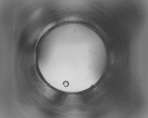 X0000077371322200610201338