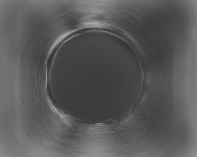 X0000077371323200610201338