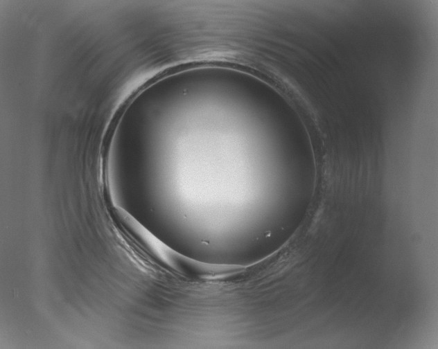 X0000077371324200610201338