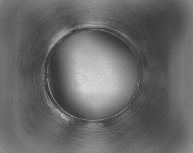 X0000077371325200610201338