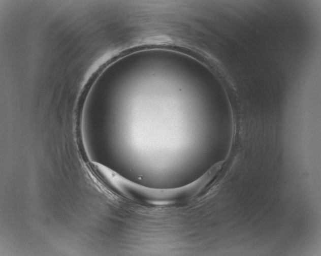 X0000077371326200610201338