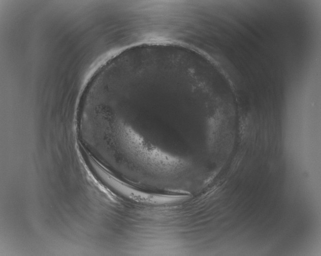 X0000077371327200610201338