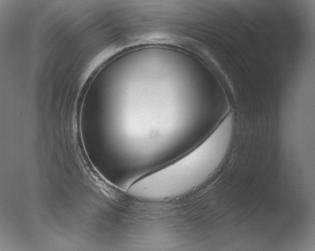 X0000077371328200610201338