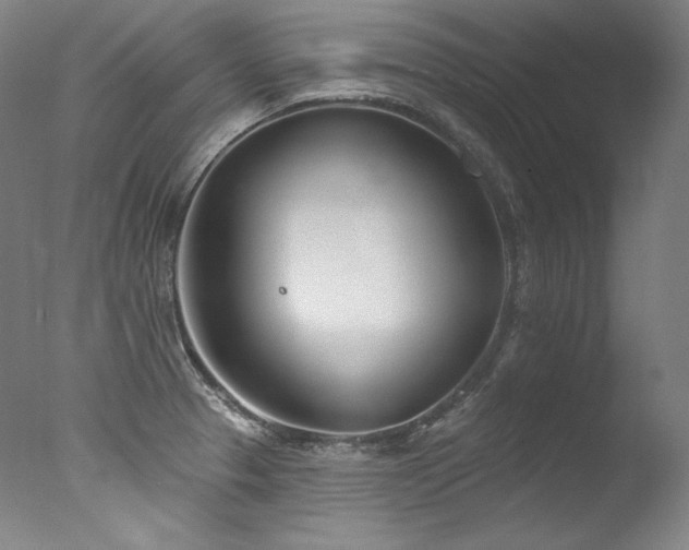 X0000077371329200610201338