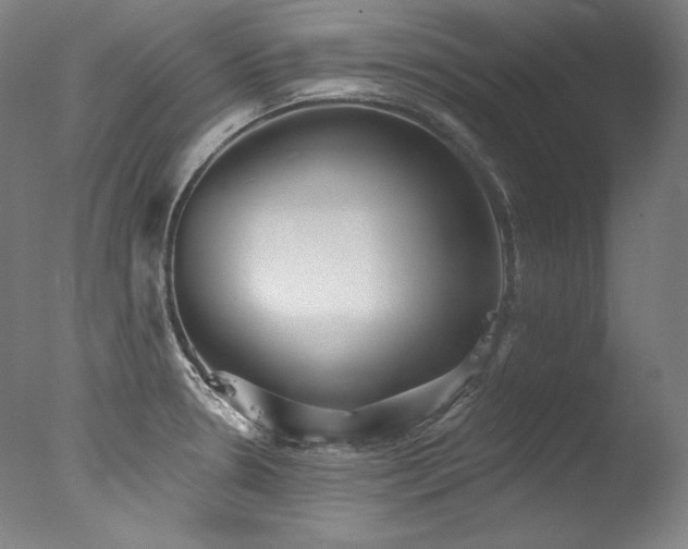 X0000077371330200610201338