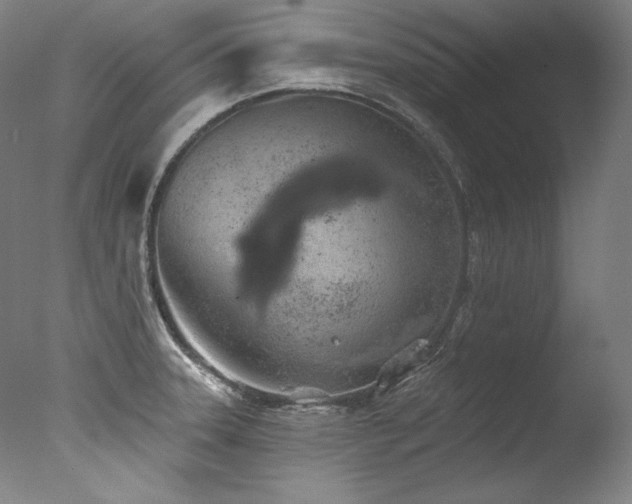 X0000077371331200610201338