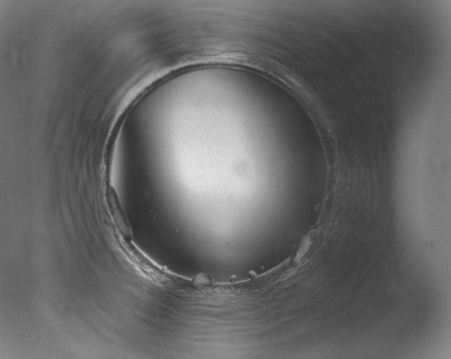 X0000077371332200610201338