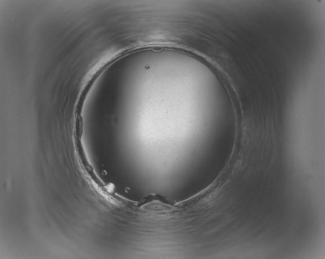 X0000077371333200610201338