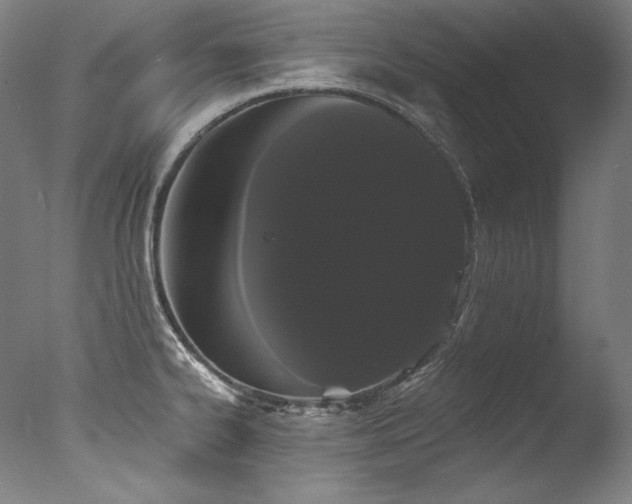 X0000077371334200610201338