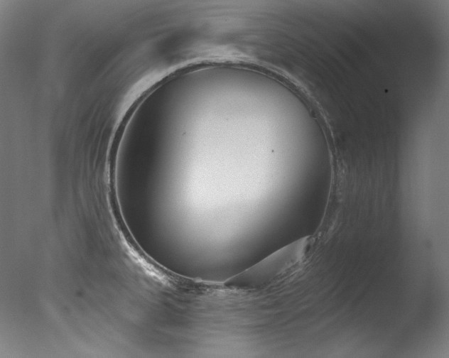 X0000077371335200610201338