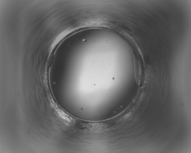 X0000077371336200610201338