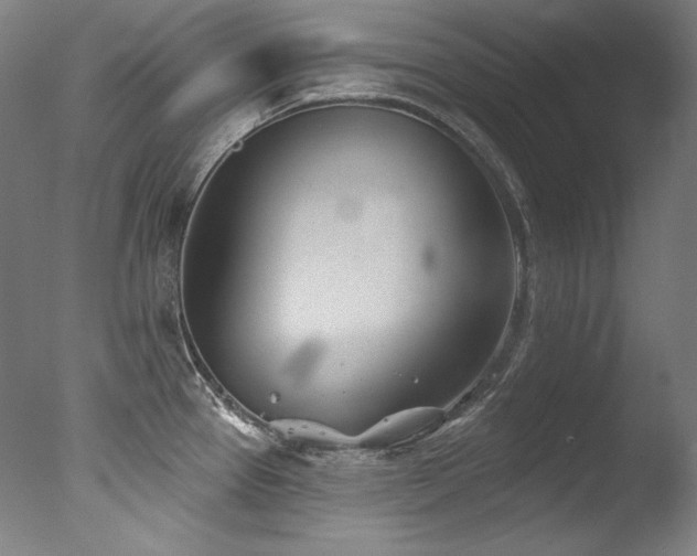 X0000077371337200610201339