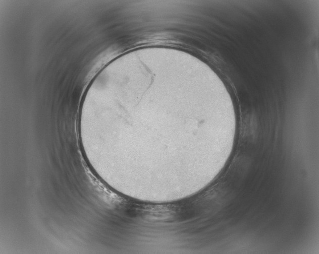 X0000077371338200610201339