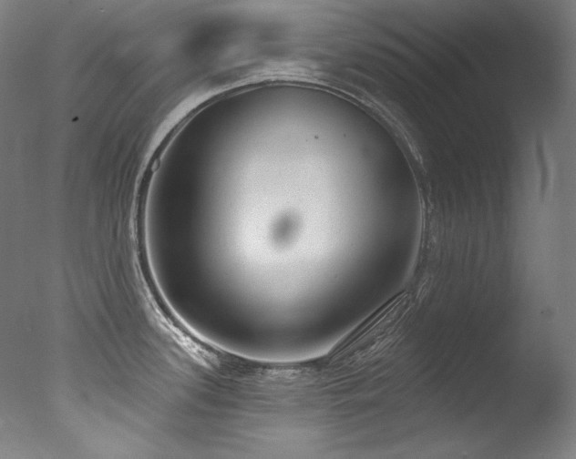 X0000077371339200610201339