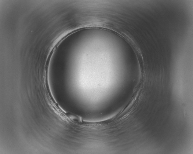 X0000077371340200610201339