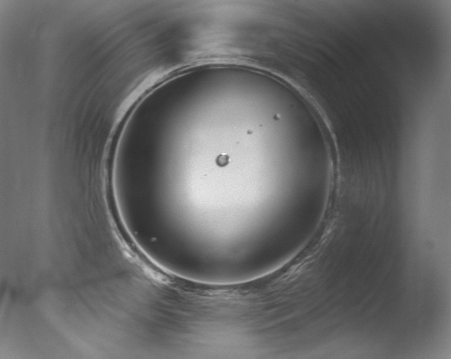 X0000077371341200610201339