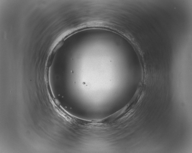 X0000077371342200610201339