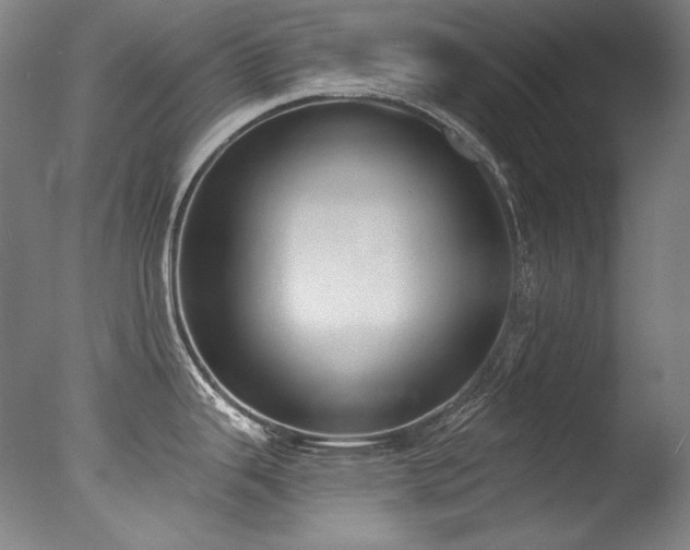 X0000077371343200610201339