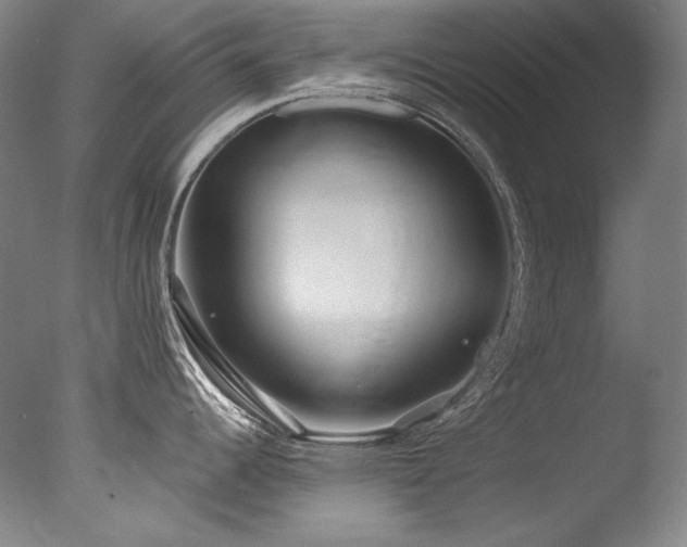 X0000077371344200610201339