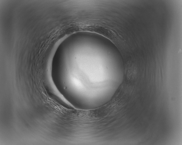 X0000077371345200610201338