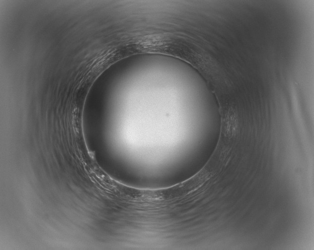 X0000077371346200610201338