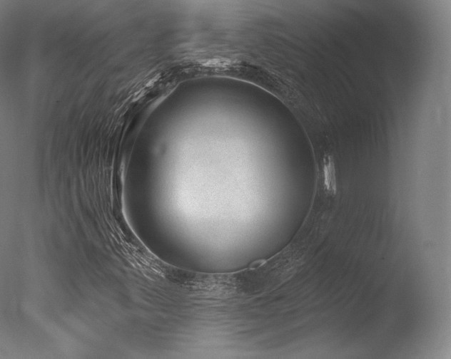 X0000077371347200610201338