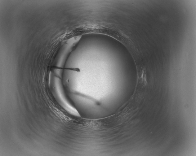 X0000077371348200610201338