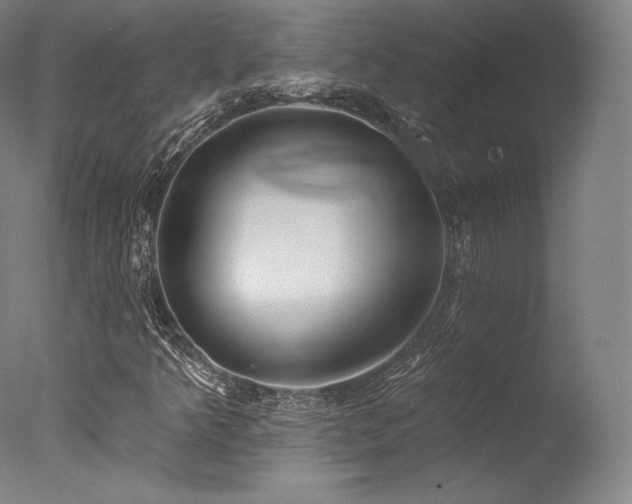 X0000077371349200610201338