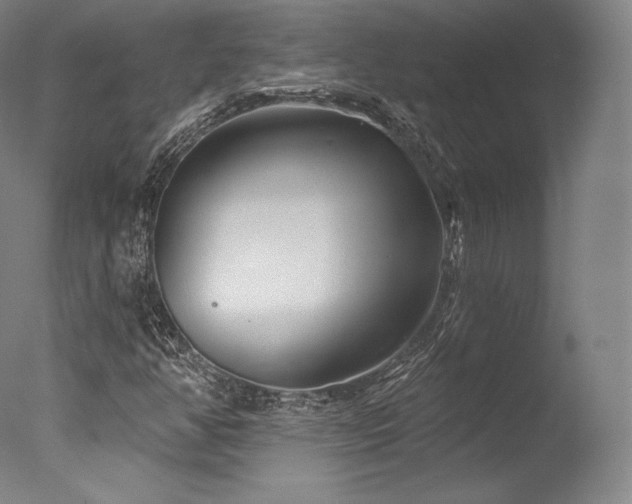 X0000077371350200610201338