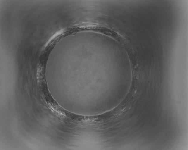 X0000077371351200610201338