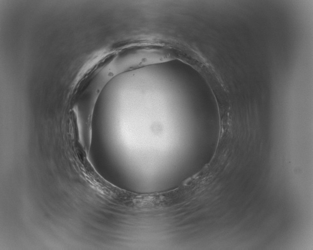 X0000077371352200610201338