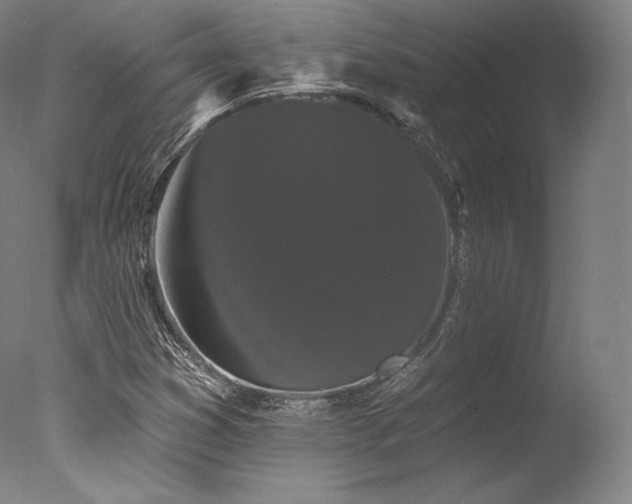 X0000077371353200610201338