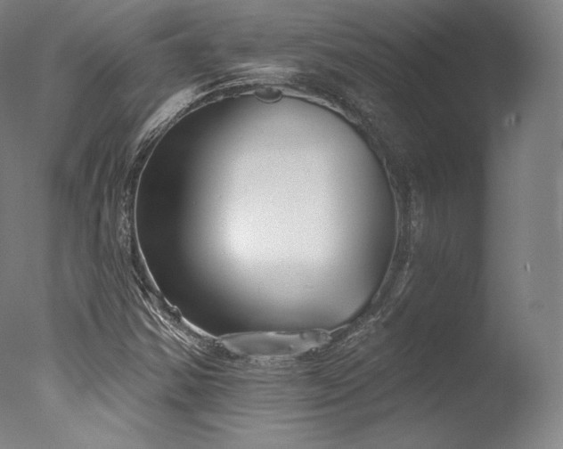 X0000077371354200610201338