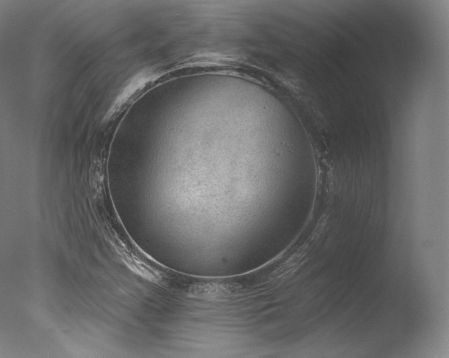 X0000077371355200610201338