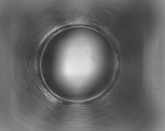 X0000077371356200610201338