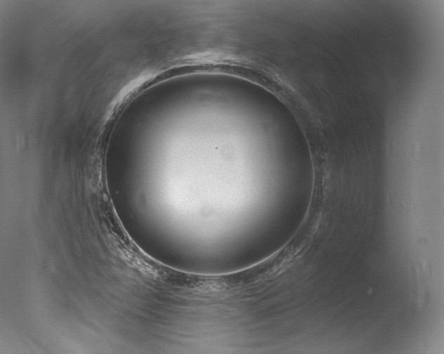 X0000077371358200610201338