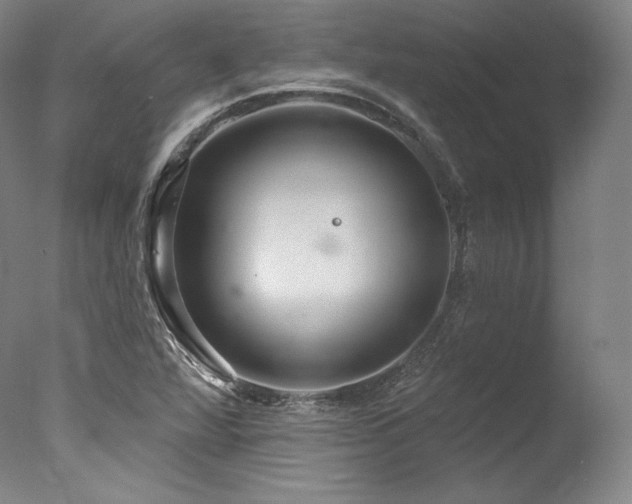 X0000077371360200610201338