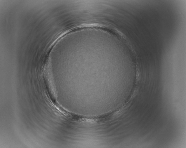 X0000077371361200610201338