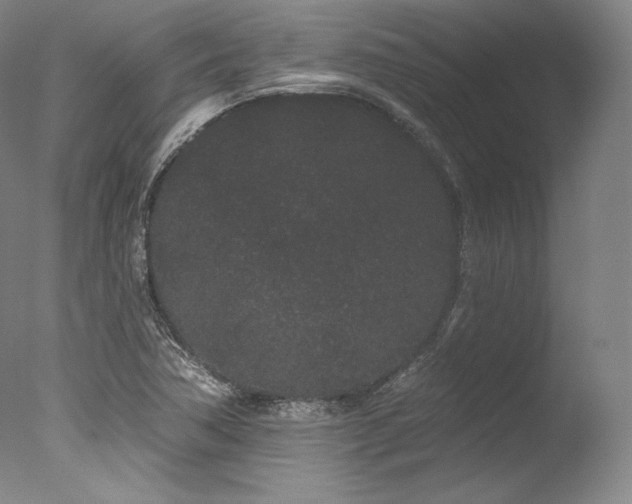 X0000077371362200610201338