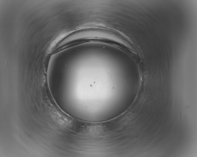 X0000077371363200610201338