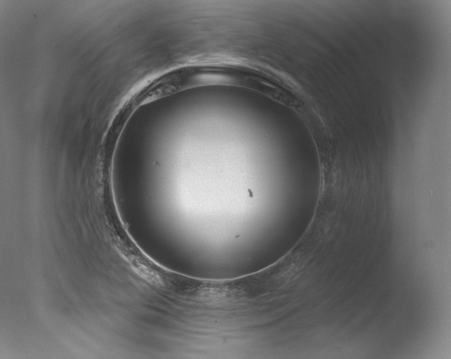 X0000077371364200610201338