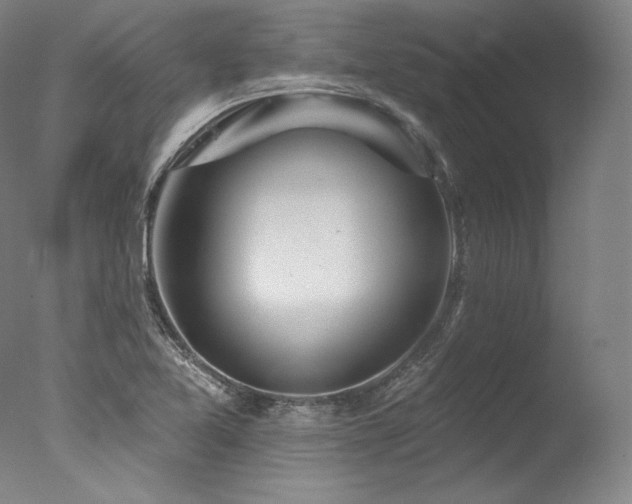 X0000077371365200610201337