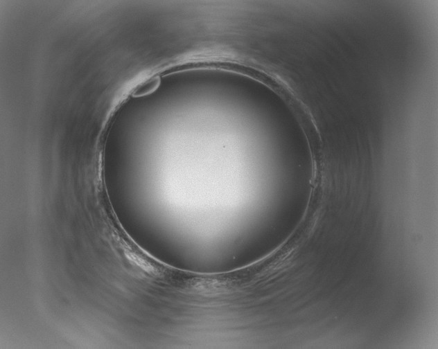 X0000077371366200610201337