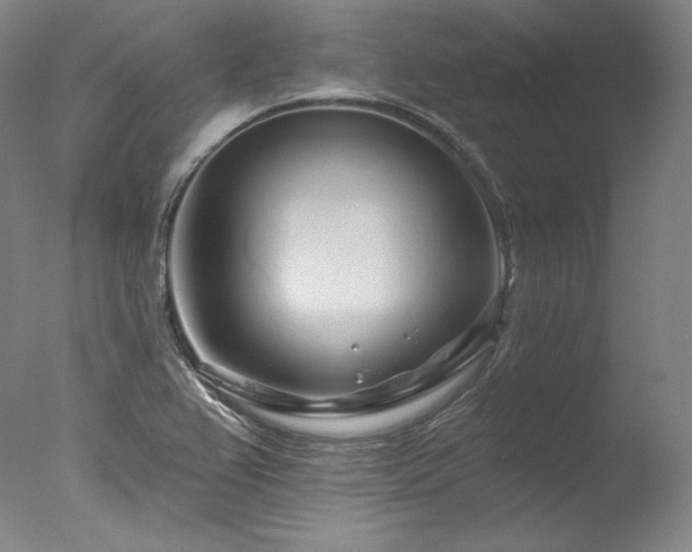 X0000077371367200610201337