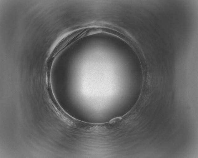 X0000077371368200610201337