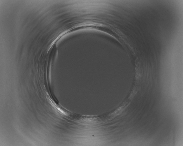 X0000077371369200610201337