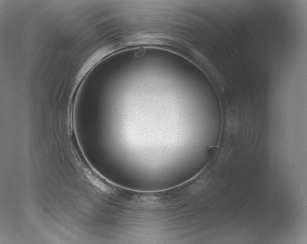 X0000077371370200610201337