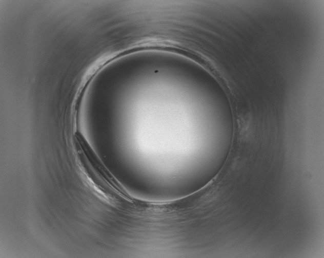 X0000077371371200610201337