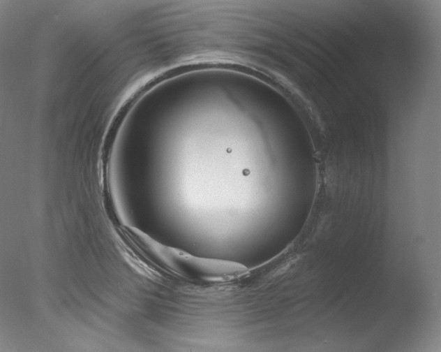 X0000077371372200610201337