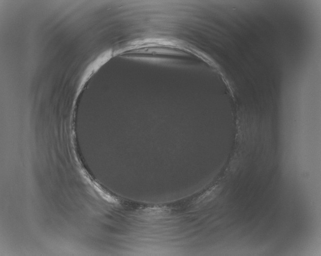 X0000077371373200610201337